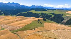 金种藏“芯”力 沃野庆康年