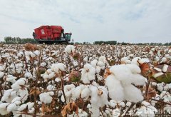 奋进的新疆·我们的“十四五”丨实力跃升新高度